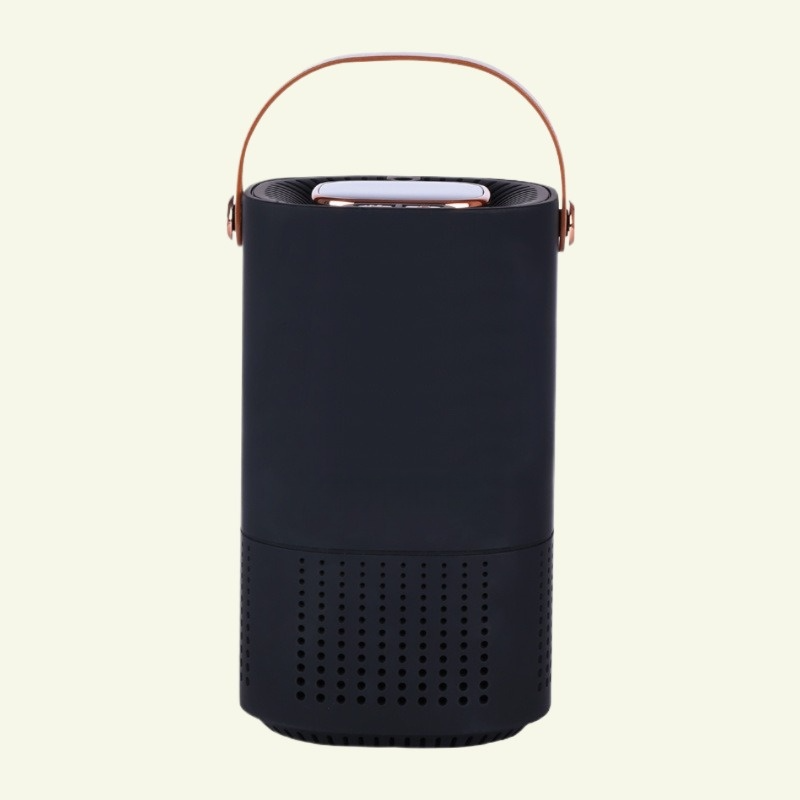 Purificateur d'Air Portable