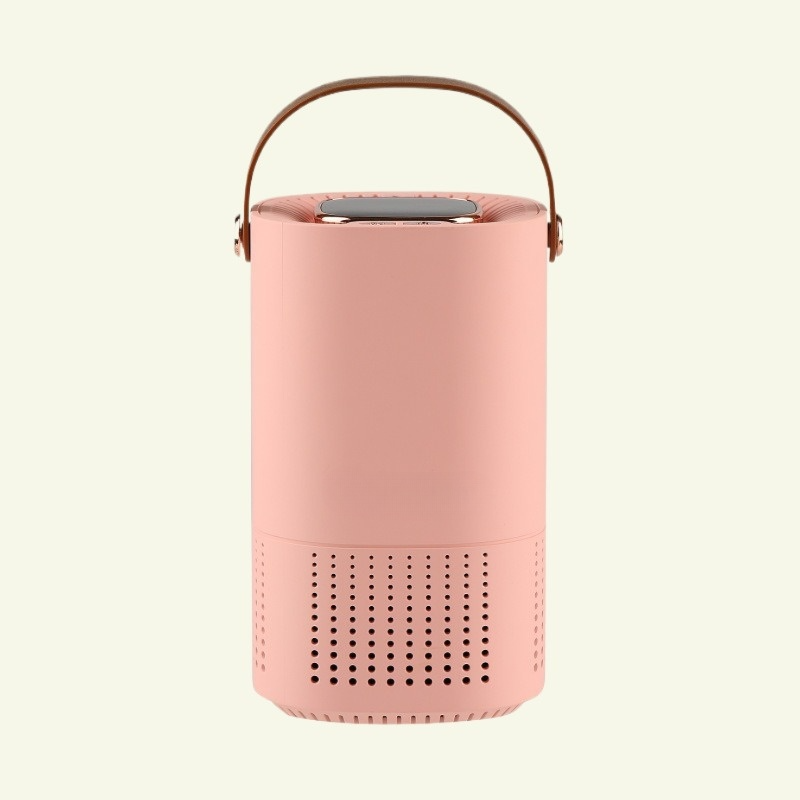 Purificateur d'Air Portable