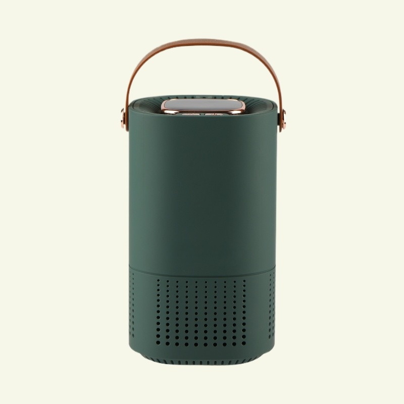 Purificateur d'Air Portable