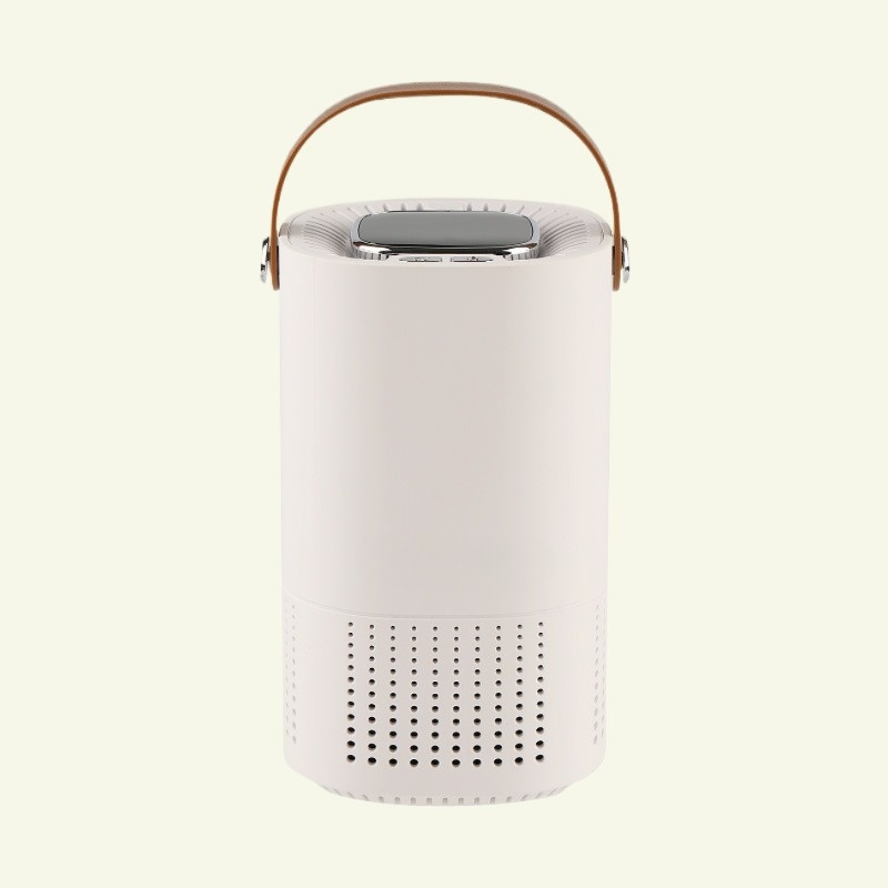 Purificateur d'Air Portable